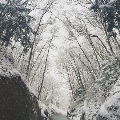 クリスマスは穴場な温泉旅館!