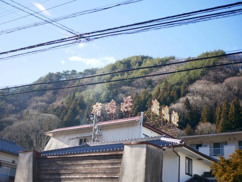 鹿教湯温泉 鹿鳴荘にひとり泊('19)