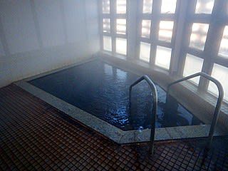 段野温泉 高齢者コミュニティセンター そだき苑