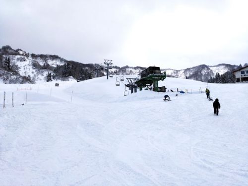 松之山温泉スキー場は全面滑走可となりました!