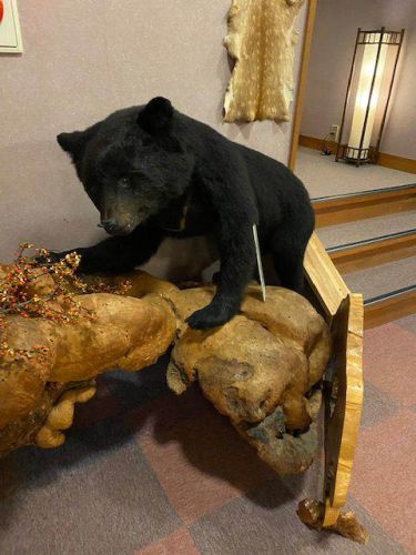 長野県大鹿村 鹿塩温泉 湯元 山塩館11('A`)朝食等