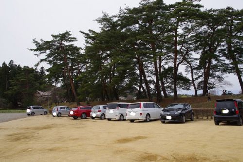南湖公園・南湖神社の楽翁桜 三春滝桜・二岐温泉大丸あすなろ荘・南湖の桜ツアー2019(11)