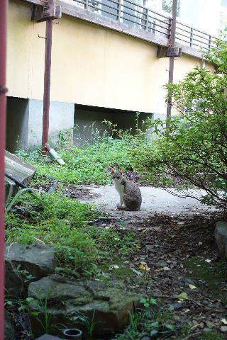 長野県沓掛温泉 満山荘14('A`)朝食等