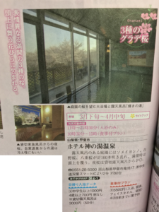【観光名所】桜といえば神の湯温泉!
