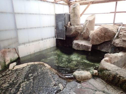 大分 大鶴温泉 夢想乃湯 2019.7
