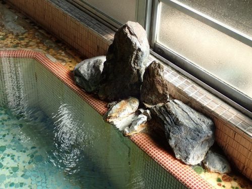 山形 赤湯温泉 旅館近江屋