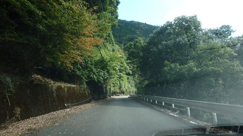 入之波(しおのは)温泉・湯元山鳩湯~奈良の秘湯は析出物てんこ盛りの極上掛け流し炭酸泉(*^。^*)