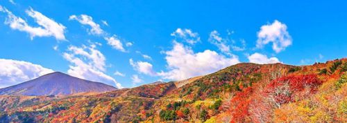 GoTo東北 温泉キャラバン計画