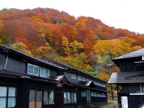 紅葉の泥湯温泉 小椋旅館へ