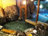 島根県 海潮温泉「奥出雲秘湯の宿 海潮荘」