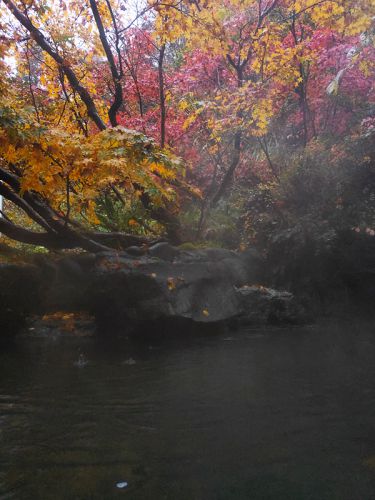 露天風呂の紅葉