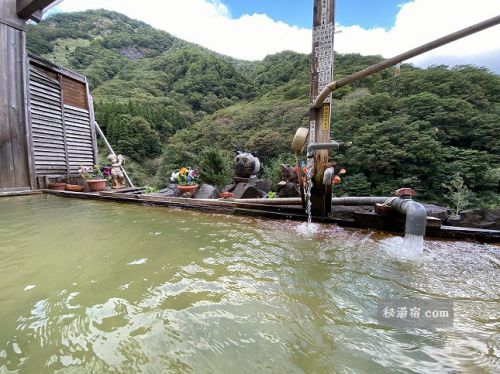 湯原温泉 猫鼻の湯 日帰り入浴 ★★★★