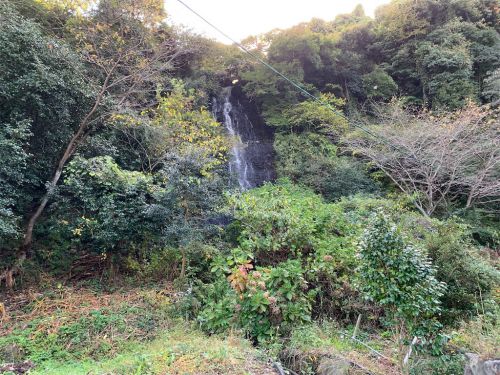 【別府市】堀田温泉 白糸の滝温泉~湯の花が乱舞する柔らかな硫黄泉