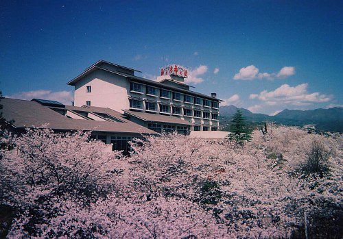 山梨県一の桜が見れる露天風呂【花見露天風呂】