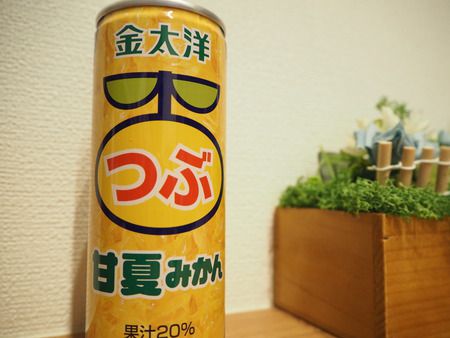 小浜温泉の観光スポットがリニューアル!「本多湯太夫邸(ほんだゆだゆうてい)」(雲仙市小浜町)