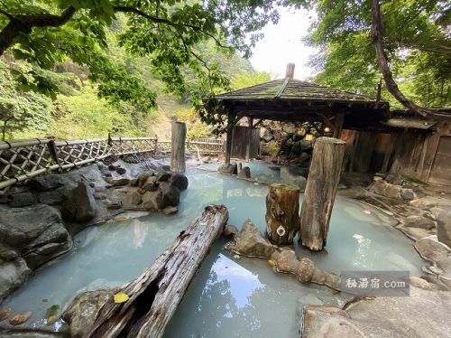 【栃木】奥鬼怒温泉郷 加仁湯 宿泊 & 日帰り入浴 その3 お風呂編
