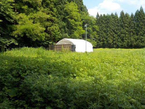 【八九朗温泉】ビニールハウスの共同浴場