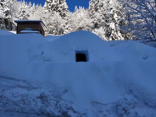 松之山温泉ふぇすてぃBAR 2021