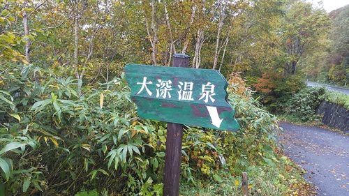 大深温泉