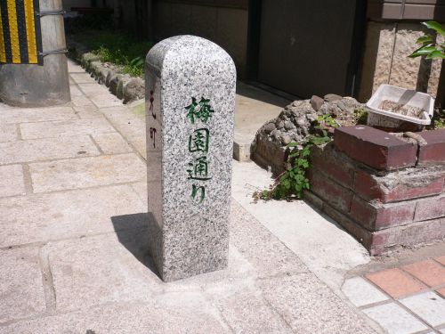 改築前:【別府温泉 梅園温泉】楕円形の小さな浴槽