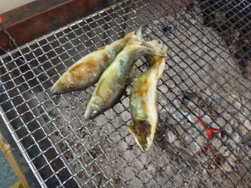 川湯温泉 みどりや ③夕食はハーフバイキング