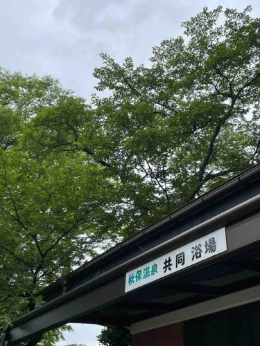 秋保温泉でホトトギスの声が