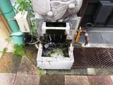 静岡県 伊東温泉街「お湯かけ願掛け七福神手湯」