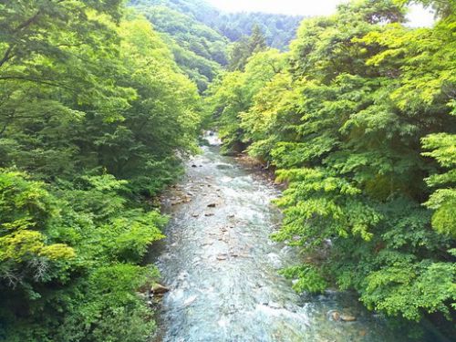 四万温泉、長静館、27回目、新緑