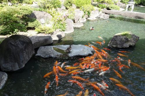 山梨県笛吹川温泉　別邸坐忘８('A`)食事その１