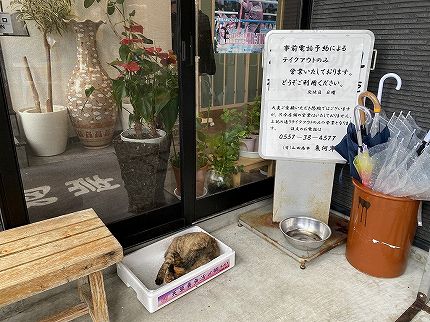 下田温泉「下田大和館」に泊まってきました