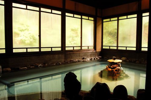 栃尾又温泉 宝巌堂 動画レポ