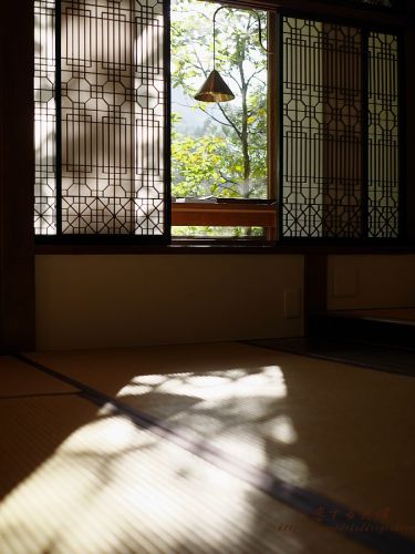 四万温泉 積善館(3)