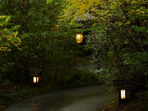 黒川温泉(4) 山河その2