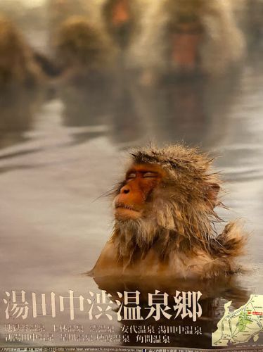 長野県地獄谷温泉 後楽館('A`)その1