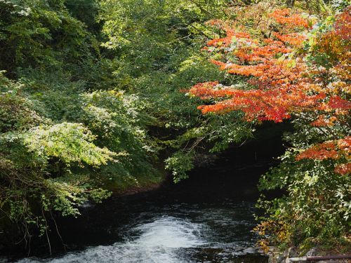 黒川温泉(10) 平野台展望台