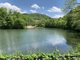 八風温泉(長野県軽井沢町発地)