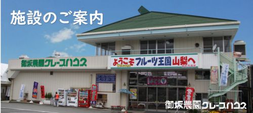 大人気のシャインマスカットに舌鼓!石和温泉駅から行ける山梨のぶどう狩り&スイーツスポット6選