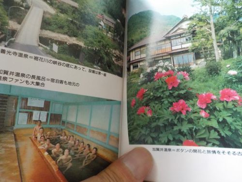 【カラーブックス 信州・一軒宿の温泉】宣伝力の乏しい温泉旅館
