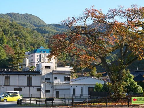 山陰の旅(1) 三朝温泉 河原の湯