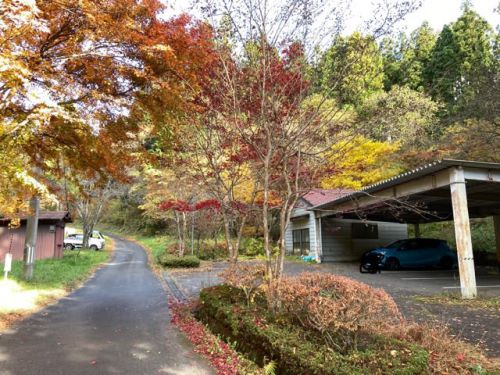 初冬にぬる湯の旅 湯岐温泉 山形屋旅館(宿泊・施設編)NO995