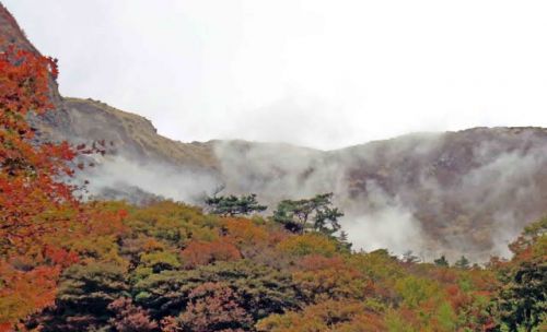 大分の温泉巡り(湯布院、明礬、別府)!