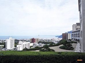 大分県 別府温泉 杉乃井ホテル