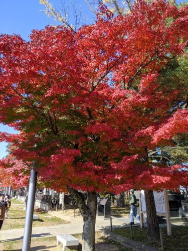 村上・鶴岡・米沢 温泉とパワースポットの旅 14(羽前米沢 上杉神社)
