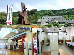 宮崎県 青井岳温泉 青井岳荘