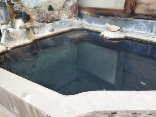 東鳴子温泉 高友旅館 女性風呂