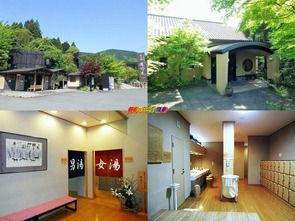 佐賀県 熊の川温泉 湯泉郷温泉館 湯招花
