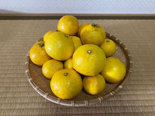 温泉応援シリーズ4