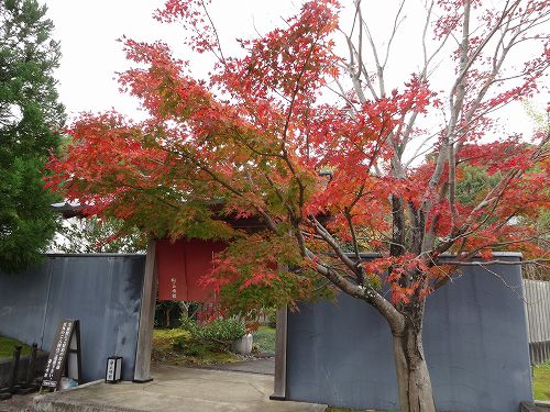 峰温泉玉峰館 2021年12月(1)