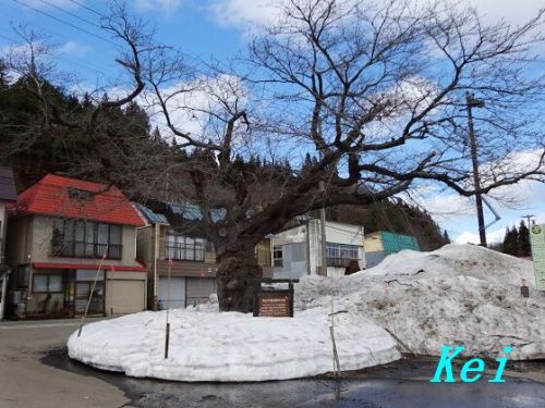 鳴子温泉郷ː中山平温泉「仙庄館」営業再開〔宮城県大崎市〕