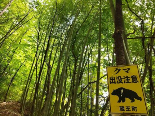 遠刈田温泉 湯神神社